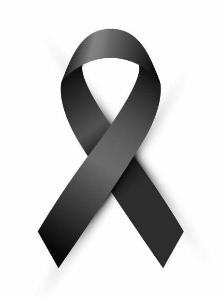 whatsapp image 2026 04 11 at 09.00.57